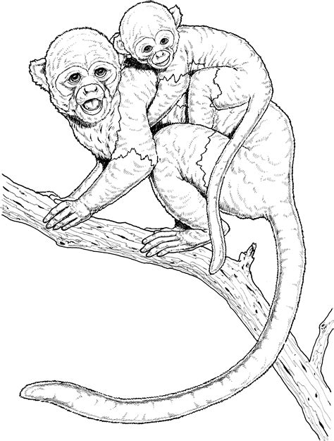 Free Monkey Coloring Pages.