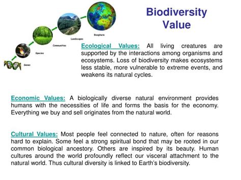 Ppt Biodiversity And Its Value Ecosystem Change Human Well Being