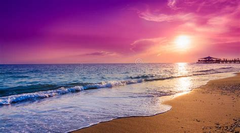 Purple Sunset On The Beach In Tropical Resort Stock Photo Image Of