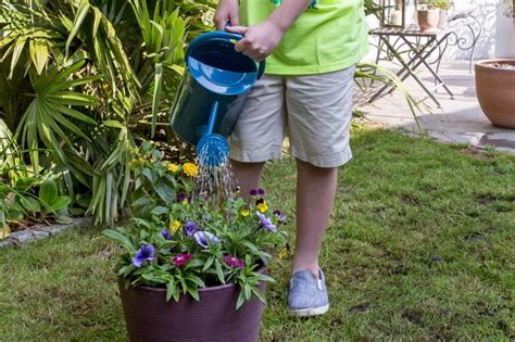 Summer Gardening Projects For Kids Bbc Gardeners World Magazine