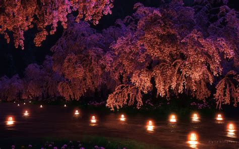 63 moonlight night wallpapers on wallpaperplay. Cherry Blossom Flowers Pink Night Lights CG HD wallpaper | nature and landscape | Wallpaper Better