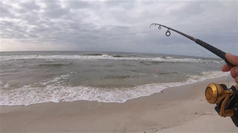 Big News Surf Fishing Gulf Shores Alabama Gulf Coast Youtube