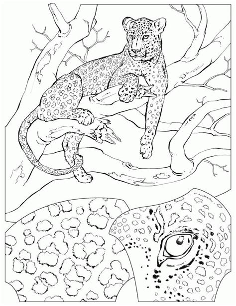 Get alphabet coloring pages of animals with letters too! Animal Habitats Coloring Pages - Coloring Home