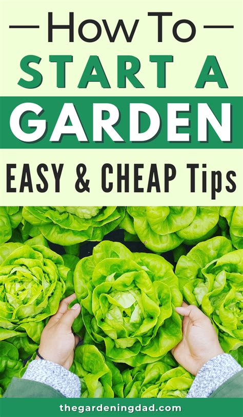 When we begin to learn how to start a hydroponic garden, the first thing we might think is we just need water, right? Ultimate Guide to Starting a Vegetable Garden (With images ...