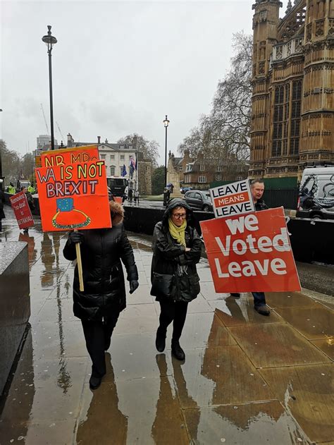 In Pictures Brexit Protesters Soaking Wet In The Westminster Rain Londonist