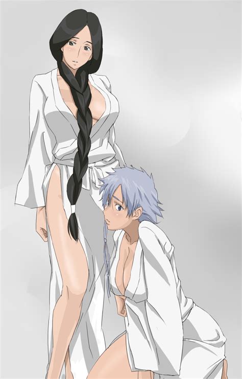 Cottage Kotetsu Isane Unohana Retsu Bleach Silver Hair Highres 00s 2girls Asymmetrical