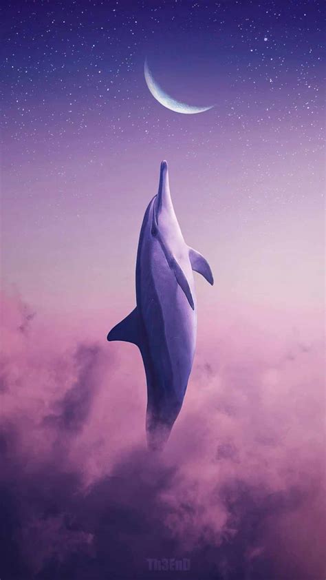 Aggregate More Than 80 Dolphin Iphone Wallpaper Best Incdgdbentre