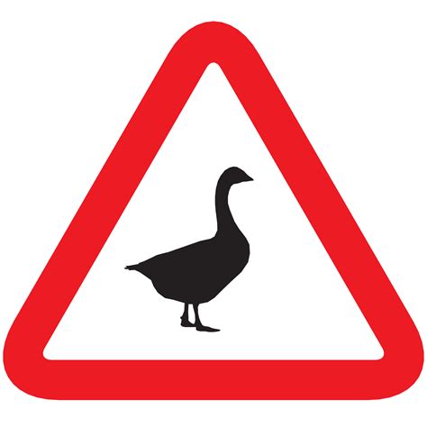 Untitled Goose Png Png Image Collection