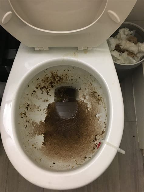 Toilet Clogged Poop Reddit at Irma Nolan blog