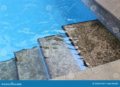 A Stair In A Swimming Stock Image Image Of Swimming 254631369