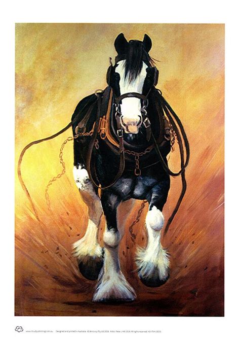 A3 Unframed Print And Greeting Card Of A Running Clydesdale Horse In