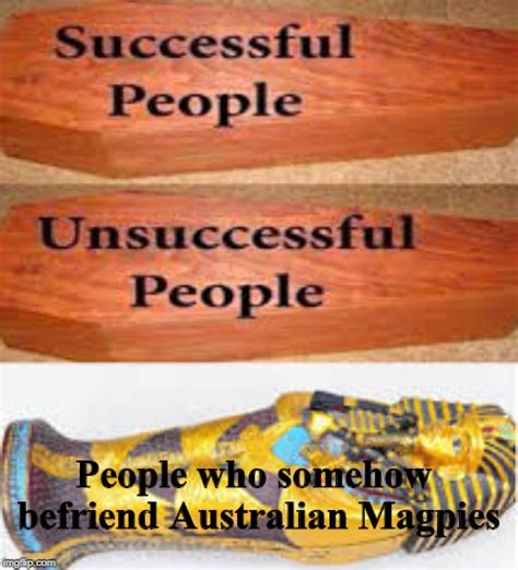 How Australians Bury Their People Imgflip