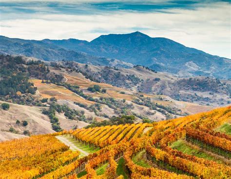Guide To California Wine Country Honeymoons