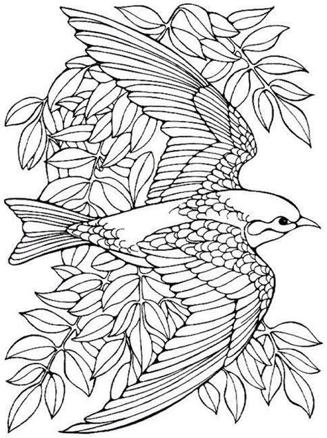 Desenhos Para Adultos Colorir E Imprimir Online Bird Coloring Pages Mandala Coloring