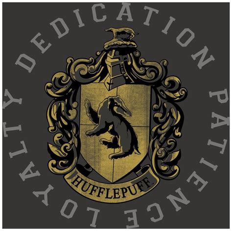 Harry Potter Hufflepuff Dedication Patience Loyalty T Shirt At