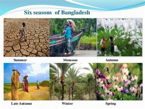 About Bangladesh At A Glance