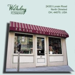 We would like to show you a description here but the site won't allow us. Kathy Wilhelmy Flowers - North Olmsted , OH 44070