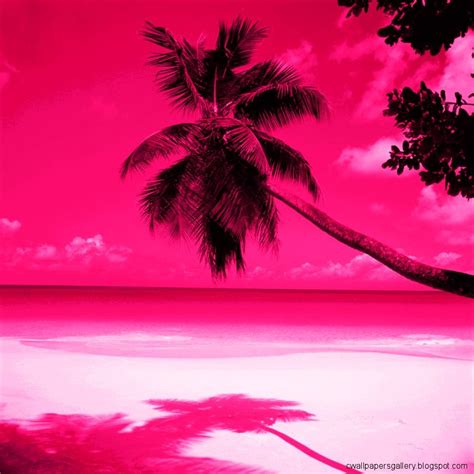 Pink Beach Wallpapers Top Free Pink Beach Backgrounds Wallpaperaccess