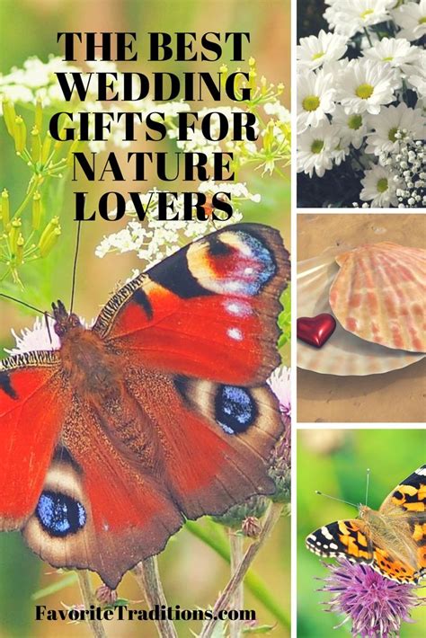 Gifting someone plant can be the best thing ever if the person loves it. Best Gifts For Nature Lovers- Weddings | Nature inspired ...