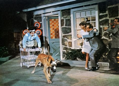 The Ugly Dachshund 1966 17 Underrated Disney Movies You Can Watch