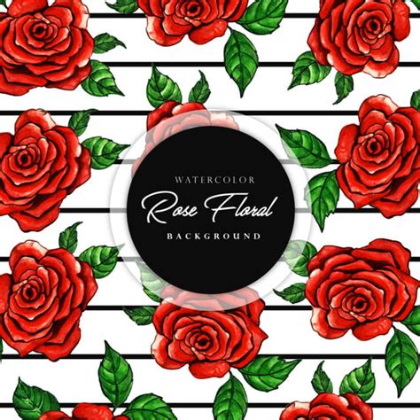 Black Stripe Watercolor Red Rose Pattern Background