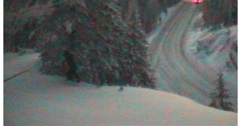 ‘bigfoot Spotted Washington State Traffic Camera Shows Mysterious