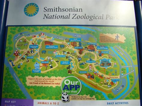 Zoológico De Washington