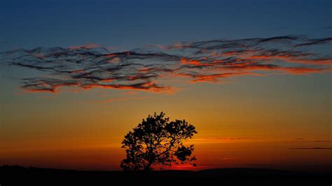Download 1366x768 Wallpaper Horizon Sunset Clouds Tree Tablet