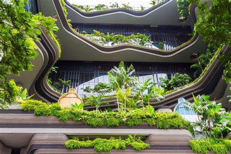 Remarkable Buildings That Use Trees As A Design Element Architectural