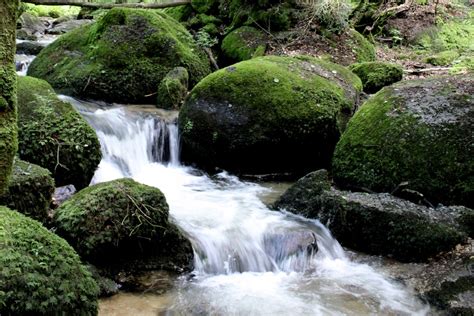 Free Images Nature Forest Rock Waterfall Creek Wet River Moss