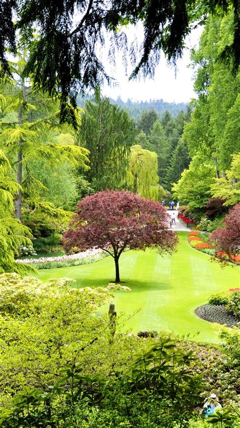 Wallpaper Canada Butchart Gardens Trees Green 2560x1600 Hd Picture