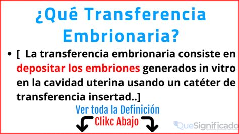 Transferencia Embrionaria Funcionamiento Y Ventajas