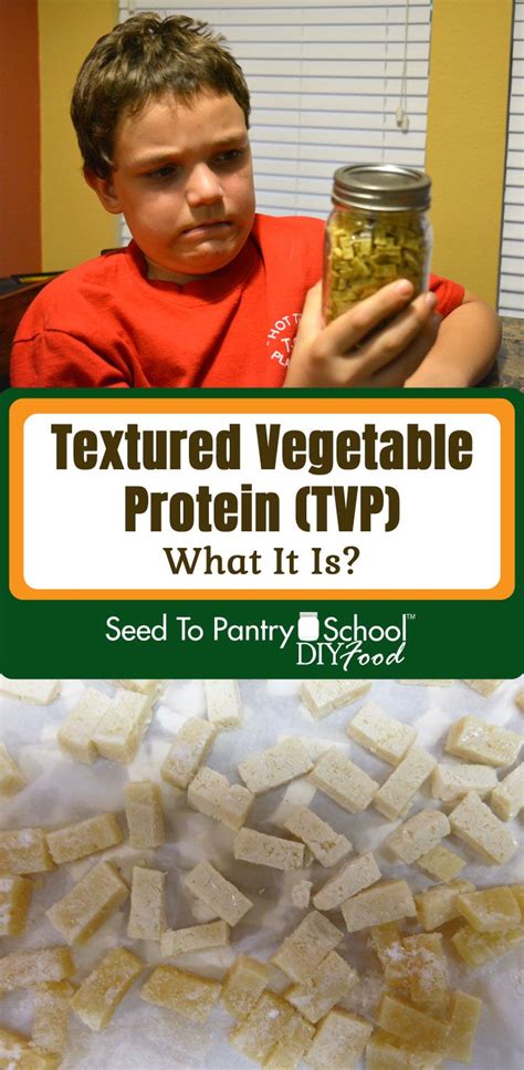 Textured Vegetable Protein Recipes Homemade Alvera Kerns