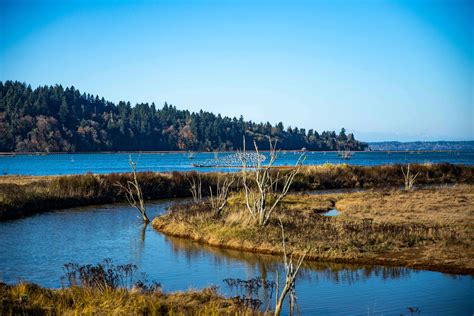 Billy Frank Jr Nisqually National Wildlife Refuge River Estuary