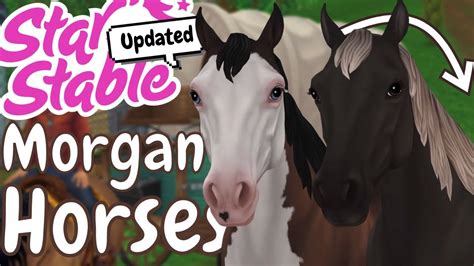 Spoiler Gen 3 Updated Morgan Horses In Star Stable Star Stable