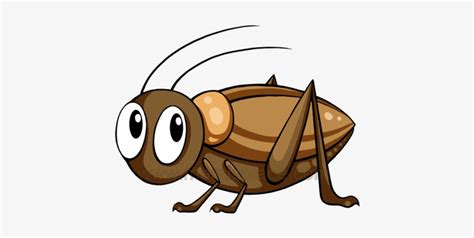 Cricket Bug Cartoon How To Draw A Cricket For Kids Step By Step