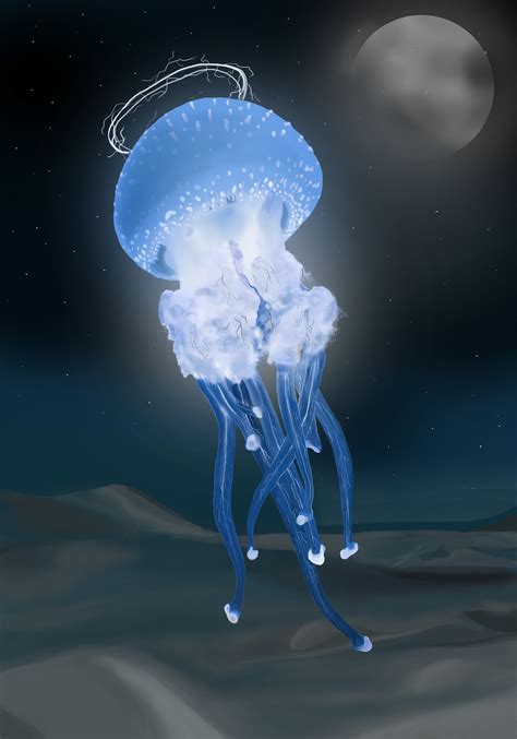 Dream Of A Jellyfish Digital Illustration On Behance