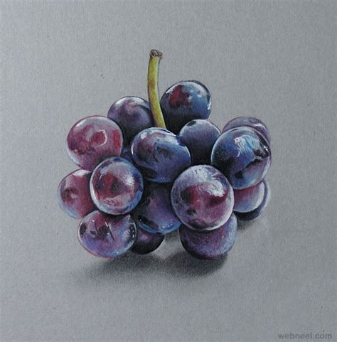 Grapes Realistic Drawing By Marcello Barenghi 18