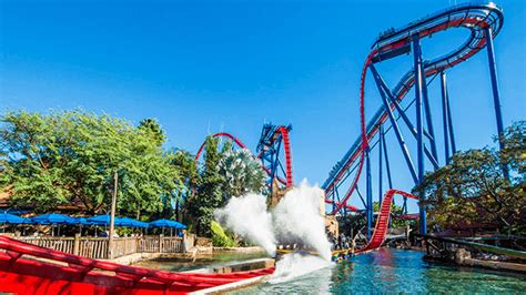 Themeparks Experts Atracciones Busch Gardens Tampa Bay