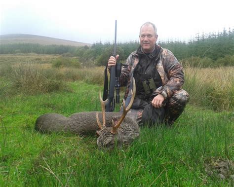 Deer Hunting In Ireland