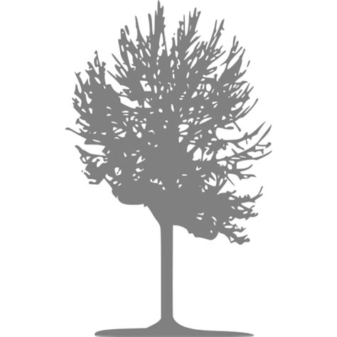 Gray Tree 2 Icon Free Gray Tree Icons
