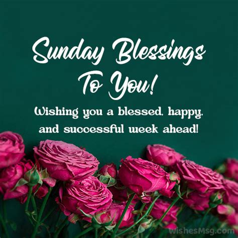 100 Happy Sunday Wishes Messages And Quotes Wishesmsg 2023