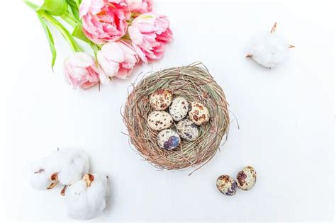 Premium Photo Spring Greeting Card Easter Eggs In Nest Cotton And
