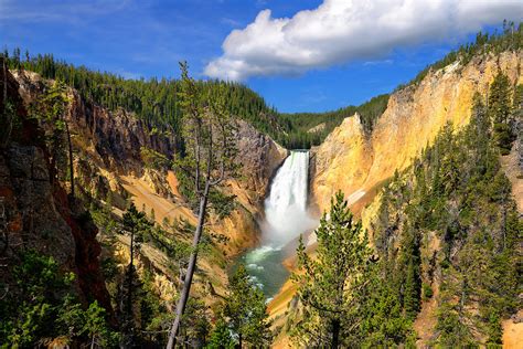 Fine Art Nature Photography From Yellowstone National Park