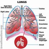 Pictures of Breathing Exercises Lung Disease
