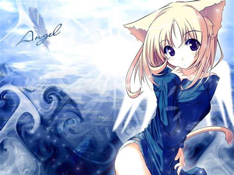 Cute Kitty Cat Anime Wallpapers Wallpaper Cave