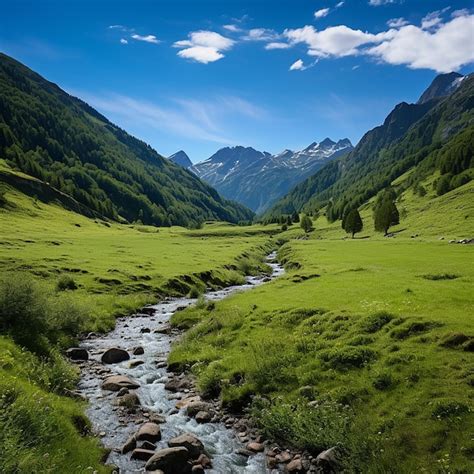 Premium Photo Pyrenees Panorama Highland Meadow Beauty