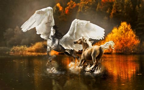 Fantasy Pegasus Horse Animal Art Artistic Artwork Wallpapers Hd