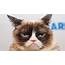 Internet Sensation Grumpy Cat Died Last Week At Age Of 7
