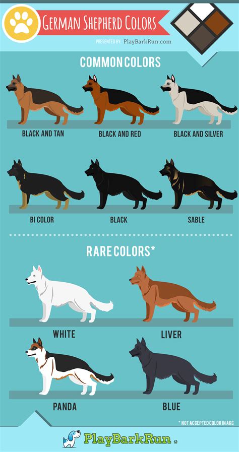 German Shepherd Color Chart